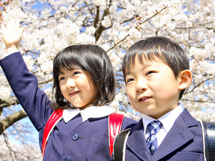 満開の桜とランドセルの子供２人